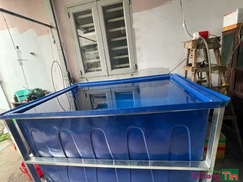 địa chỉ cung cấp thùng nhựa nuôi cá trồng rau sân thượng - Nhà cửa & trang thiết bị, Thú cưng & Vật nuôi, Cần Bán, TP Hồ Chí Minh - Ảnh 2