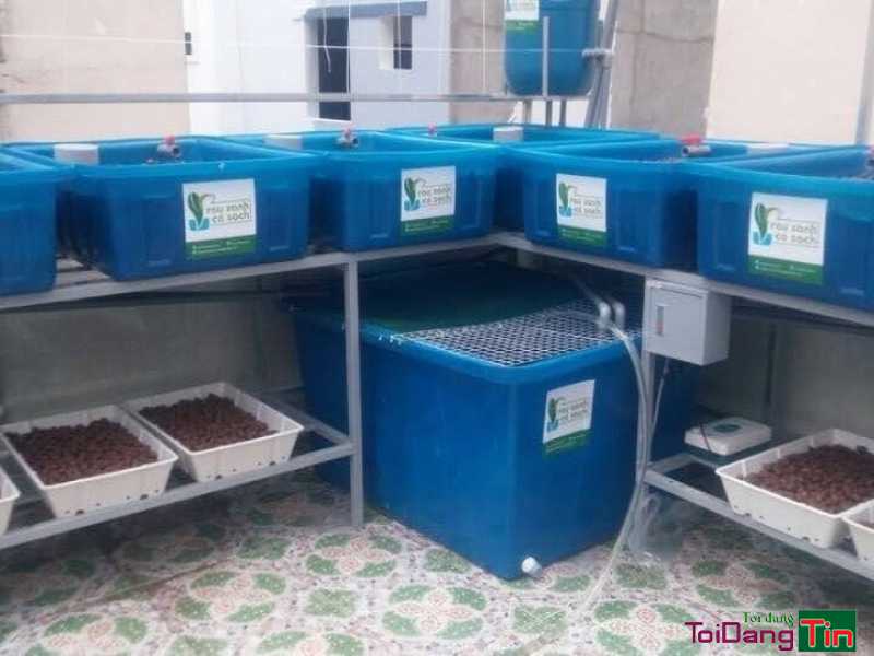 Đại chỉ bán thùng nuôi cá 2000 lit - Ms Thanh 0913 819 238 - Nhà cửa & trang thiết bị, Thú cưng & Vật nuôi, Cần Bán, TP Hồ Chí Minh - Ảnh 2