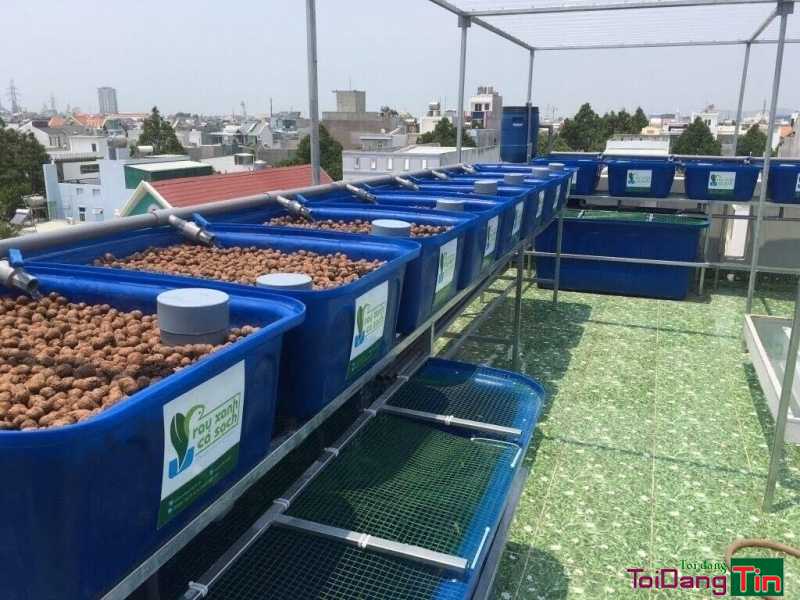 Đại chỉ bán thùng nuôi cá 2000 lit - Ms Thanh 0913 819 238 - Nhà cửa & trang thiết bị, Thú cưng & Vật nuôi, Cần Bán, TP Hồ Chí Minh - Ảnh 2