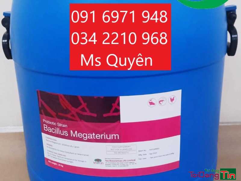 Mua bán sỉ vi sinh tiêu hóa Bacillus Megaterium - Giao thương/ Kết bạn/ Tìm người, Cơ hội giao thương, Chào bán, Long An - Ảnh 1