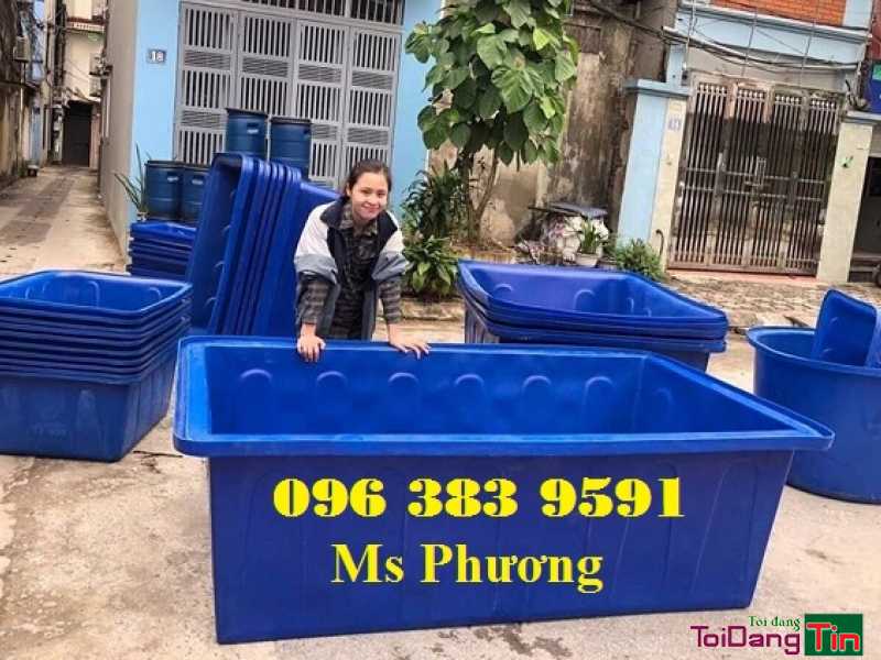 Chuyên cung cấp thùng nhựa nuôi cá, bể bơi 0963839591 - Giao thương/ Kết bạn/ Tìm người, Tìm đối tác /Người, TP Hồ Chí Minh - Ảnh 2