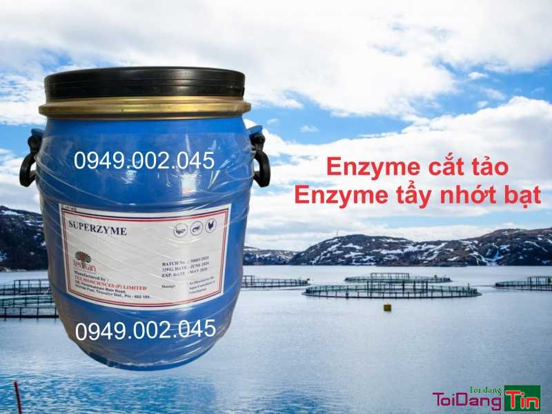 Superzyme - Enzyme cắt tảo, tẩy nhớt ao nuôi tôm cá - Giao thương/ Kết bạn/ Tìm người, Tìm nhà phân phối, đại lý, Trà Vinh - Ảnh 1