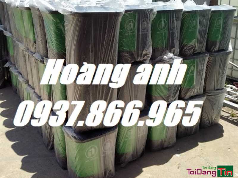 Thùng rác phân loại 2 ngăn, thùng rác 60l, bán thùng rác toàn quốc - Dịch vụ, Dịch vụ khác, Cung cấp, TP Hà Nội - Ảnh 2