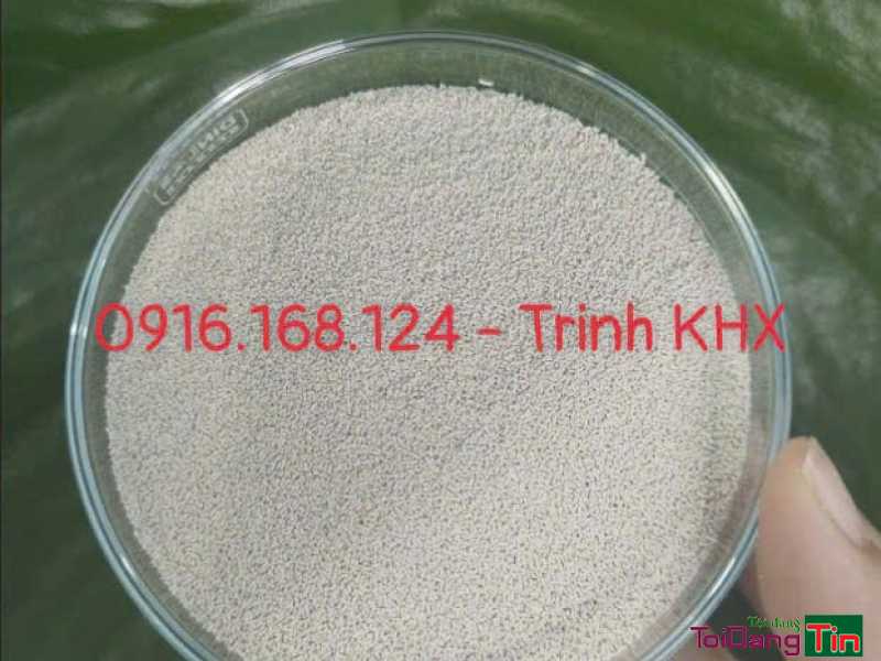 ACTIVE FEED FRY YEAST – Nấm men đường ruột đậm đặc - Nhà cửa & trang thiết bị, Thú cưng & Vật nuôi, Cần Bán, Bạc Liêu - Ảnh 2