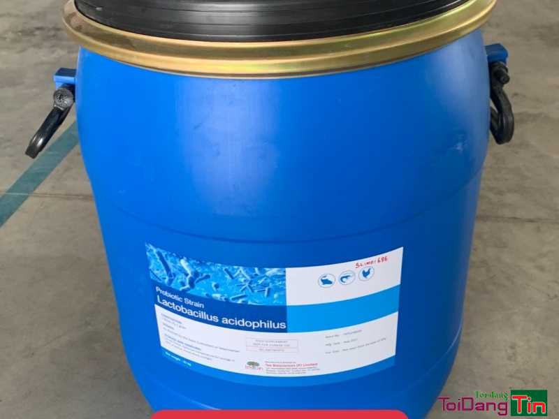 LACTOBACILLUS ACIDOPHILUS – Men vi sinh đường ruột cho tôm/cá - Nhà cửa & trang thiết bị, Thú cưng & Vật nuôi, Cần Bán, Long An - Ảnh 1