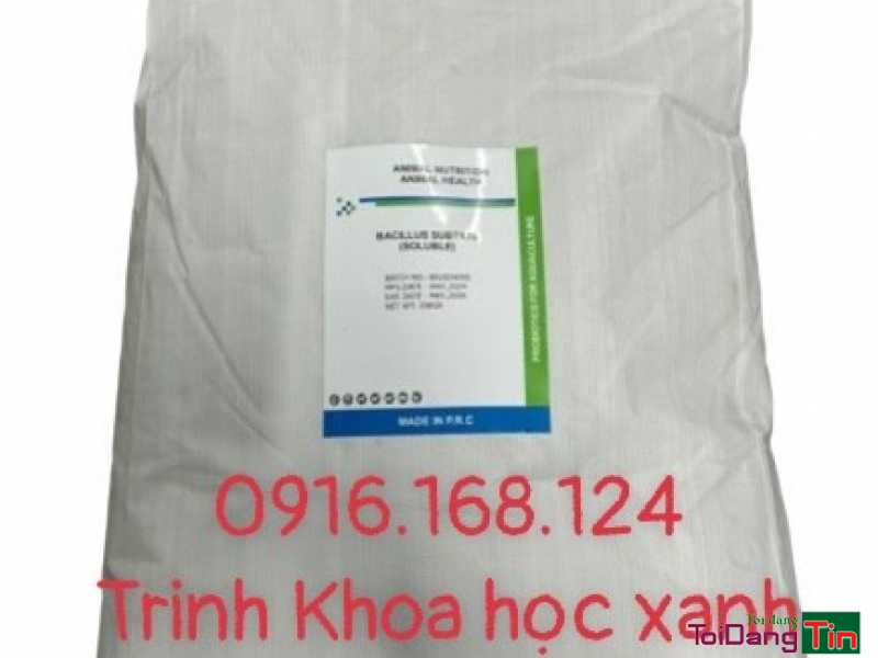 BACILLUS SUBTILIS - Hàm lượng 200 tỷ cfu/gam, tan hoàn toàn. - Nhà cửa & trang thiết bị, Thú cưng & Vật nuôi, Cần Bán, Sóc Trăng - Ảnh 1
