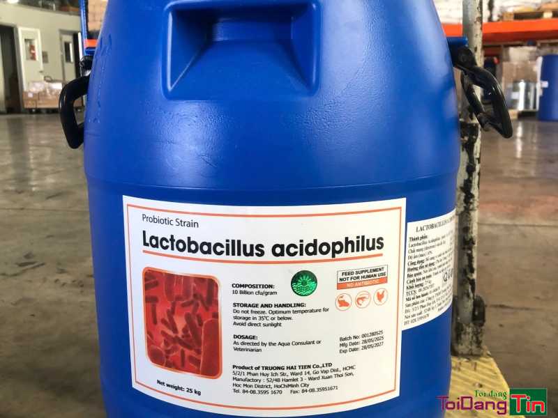 LACTOBACILLUS ACIDOPHILUS – Men vi sinh đường ruột cho tôm/cá - Nhà cửa & trang thiết bị, Thú cưng & Vật nuôi, Cần Bán, TP Cần Thơ - Ảnh 1