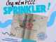 Ống mềm sprinkler PCCC, ống mềm nối đầu phun sprinkler, khớp nối mềm cứu hỏa