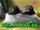 Cơ sở sản xuất nón snapback, nón hiphop, mũ nón giá rẻ s616